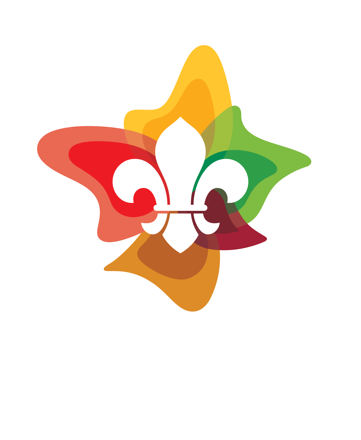 Gold Coast Region Scouts